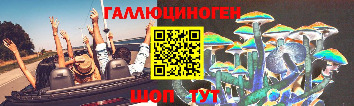 Пушкино  Галлюциногенные грибы Psilocybe  Вход с VPN 
