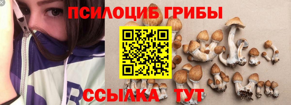 Галлюциногенные грибы Magic Shrooms Пушкино